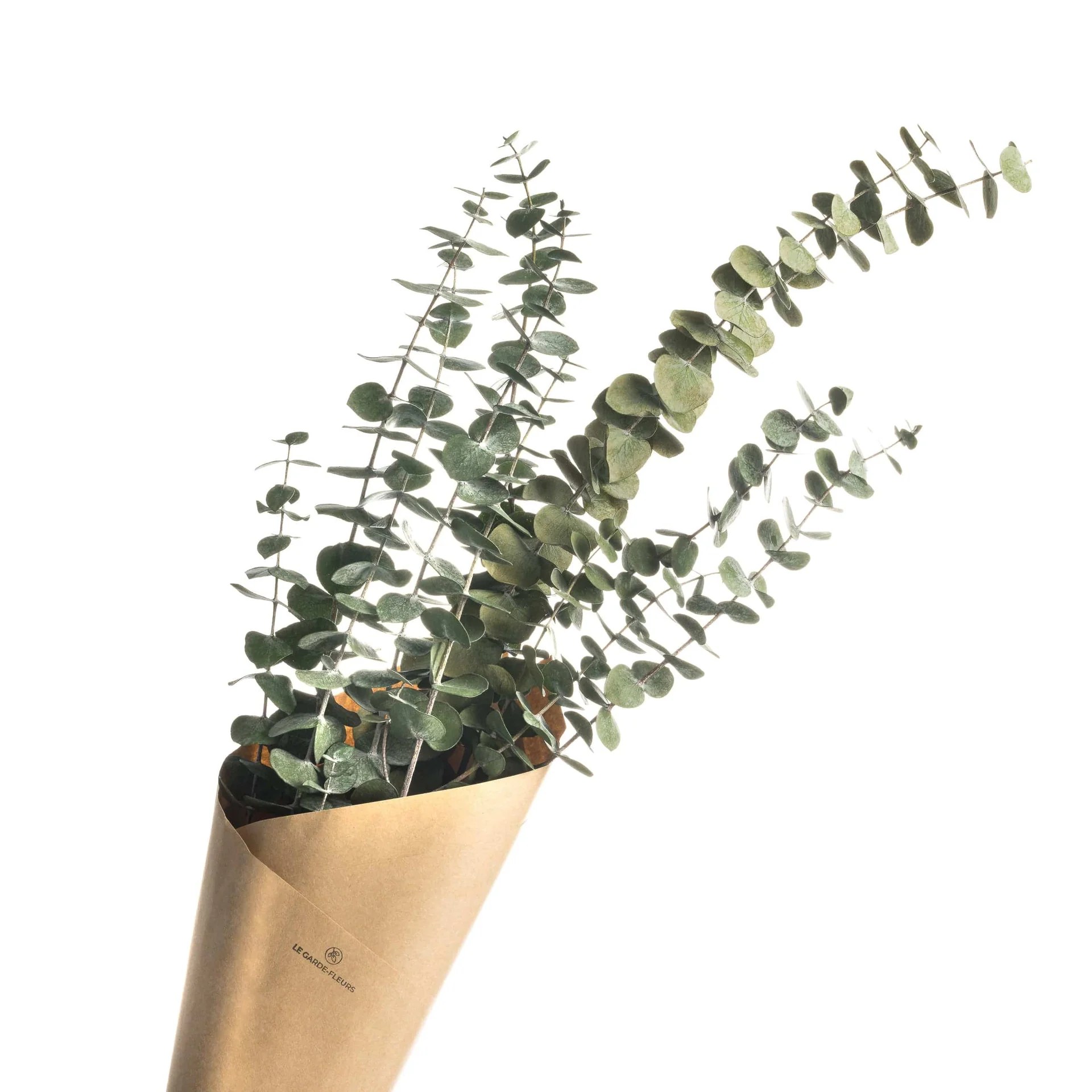 decoratrice interieur québec, designer d'intérieur trois-rivières, designer interieur sherbrooke, design interieur lévis, decorateur interieur thetford mines, designer intérieur saint-augustin, designer interieur st georges, decorateur interieur, decorateur val-bélair, decoration interieur bécancour,architecture interieur victoriaville, design interieur québec,design, cuisine, maison, designer commercial, salle de bain, agrandissement, sous-sol, maison, 3d, designer commercial québec, designer thetford mines, designer nicolet, decoration saint-nicolas, decoration thetford mines, decoration québec, home staging Décoration intérieure par Élévation Studio Design - Transformez votre espace de vie avec les services de décoration intérieure professionnels d'Élévation Studio Design, disponibles partout au Québec.